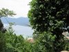 View of the Bay from top of the mountain
