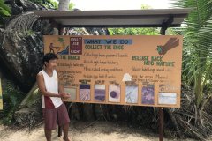 Tioman and Anambas Islands