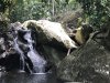 A very small waterfall