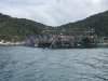 IMG_5210