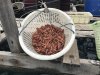 They boiled the chumi....small squid.....we think to preserve