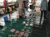 The fish market....some squid but mainly small tuna