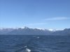 First views of the mountains along Kenai Peninsula....mainland Alaska