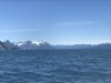 First view of the Wosnesenski Glacier......Homer and Kamachek Bay are on the other side!!