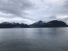IMG_2019