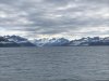 IMG_2079