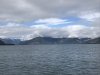IMG_2115