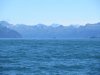 IMG_6356