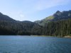 IMG_6365