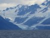 Not sure how many glaciers we saw......10+ for sure!!!