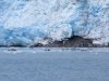IMG_6408