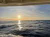 IMG_2890