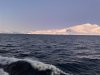 IMG_2913