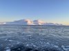 IMG_2919