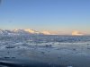 IMG_2920