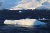 Some very unique icebergs throughout the cruise!!