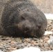 Cute fella!!