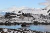 IMG_5523