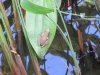 Cute wildlife!!