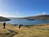 Kathy walking up the steep hill on West Point Island, April 2, 2023