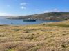 A lovely day for our last landing before heading to Ushuaia in the afternoon.