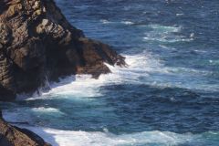 West Point Island, Passage to Ushuaia and Leaving for Home