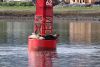 Sea Lions resting on a buoy as we leave Petersburg