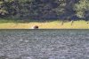 He tried for over an hour but he was fishing, not catching