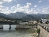 View of cherry trees on local river in Miyanoura