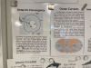 The ship posted various information documents for us!!