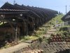IMG_9591
