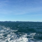 Leaving the Whitsunday’s…..a sad moment!!